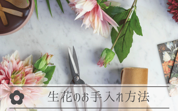 生花のお手入れ方法