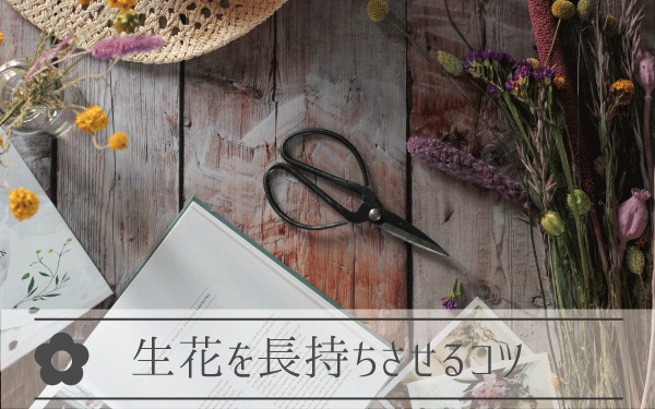 生花の日持ちは？長持ちさせるコツ