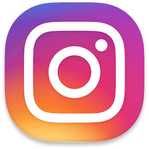 Instagram｜月に２回のお花の定期便｜クヴェルフラワー