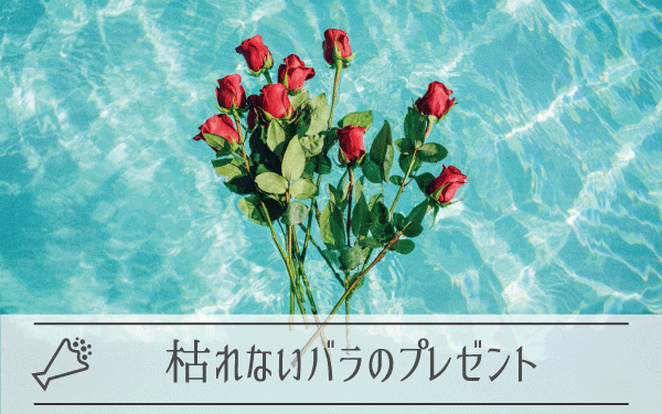 バラの枯れないプレゼント（ギフト）がおすすめ？