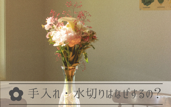 お花の手入れ・水切りはなぜするのか？
