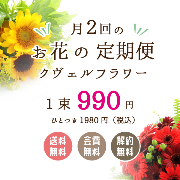 月に２回のお花の定期便｜クヴェルフラワー