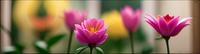 ../wp-content/uploads/2022/04/kvell-new-ohanashi-logo1-1.png
